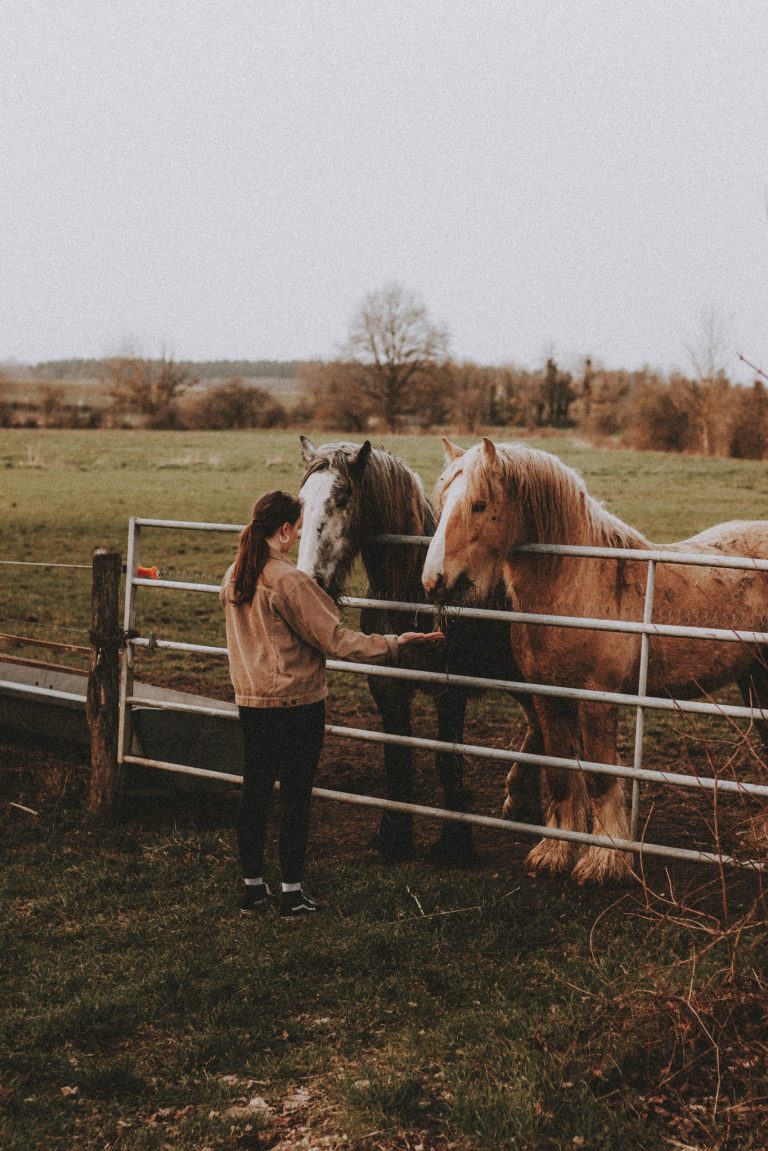 How A Horse Helped Me Find Myself