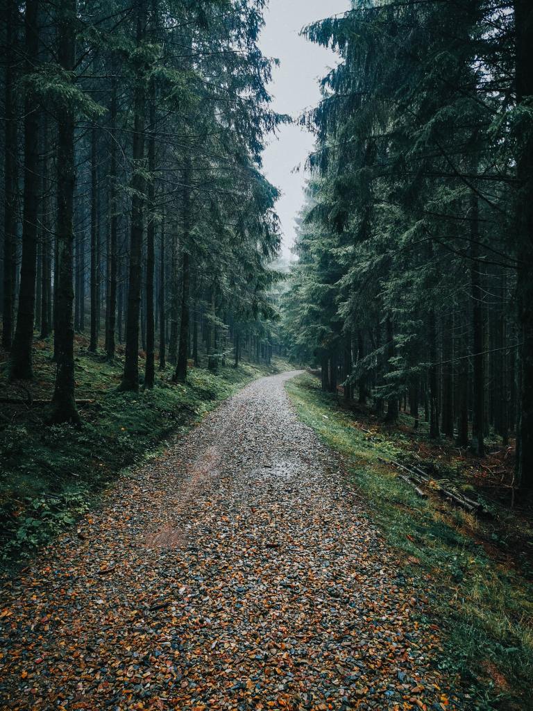 9 Signs You’re On The Right Path (Even If Doesn’t Feel Like It)