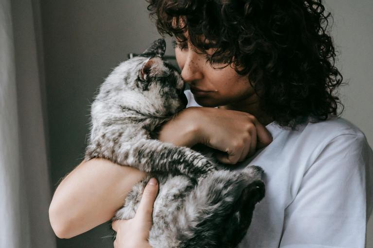 The Best Cat Breed for You, Based on Your Zodiac Sign