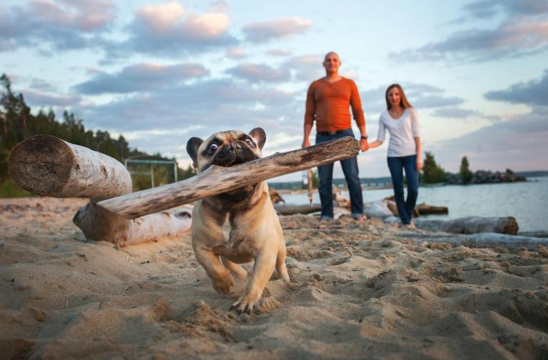 4 Zodiac Signs That Make Marriage Look Easy