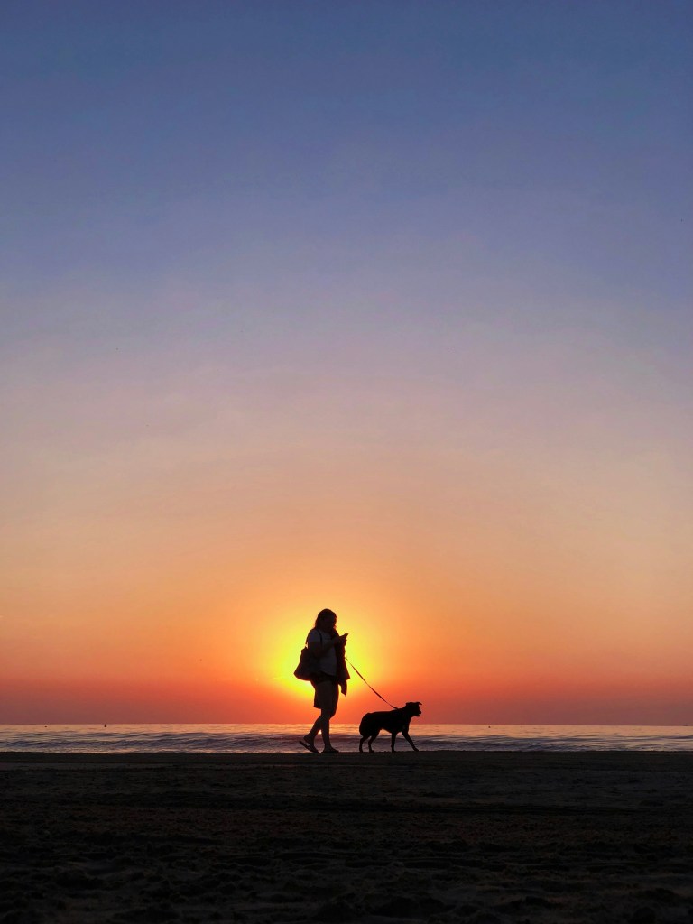 7 Zodiacs That Love Dogs More Than People