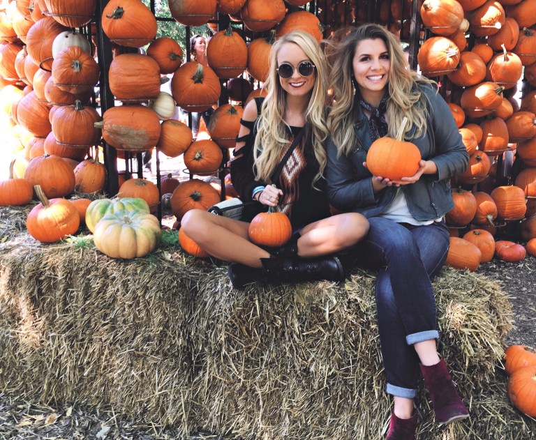 The Fall Treat Your Zodiac Will Crave All October Long