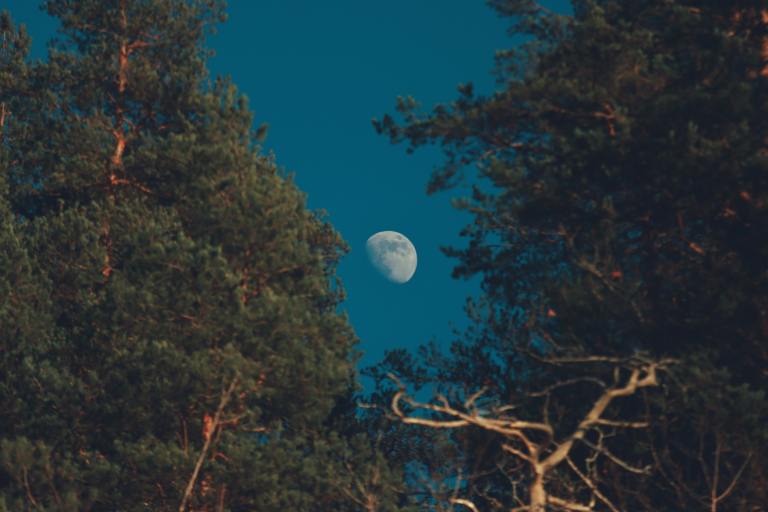 2 Zodiacs Breaking Rules To Thrive On The Sagittarius New Moon (12/1)