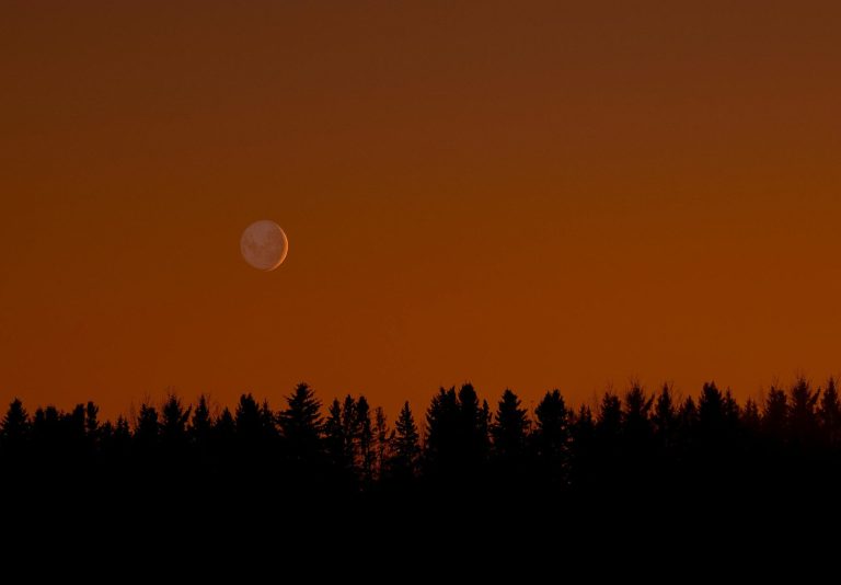 4 Zodiac Signs Closing A Chapter During The Virgo Lunar Eclipse (3/14)