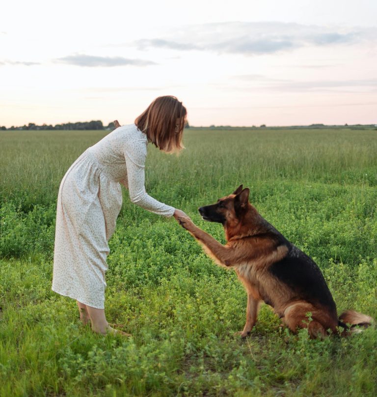 4 Zodiacs Born With Soul Bonds To Animals