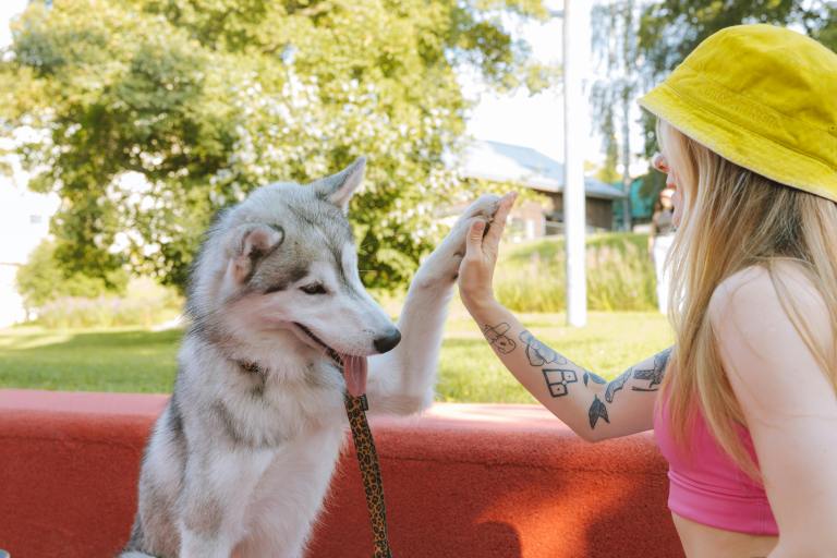 The Perfect Pup For Every Zodiac Personality