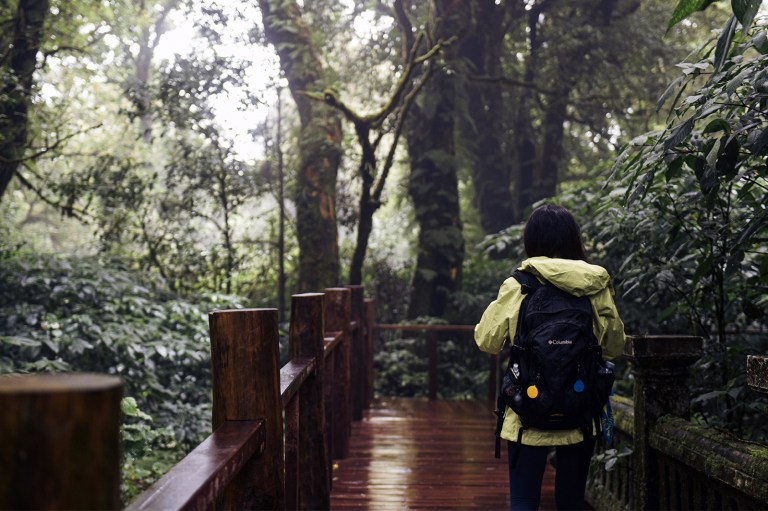 4 Foolproof Signs You’re On The Right Path, According To Tarot
