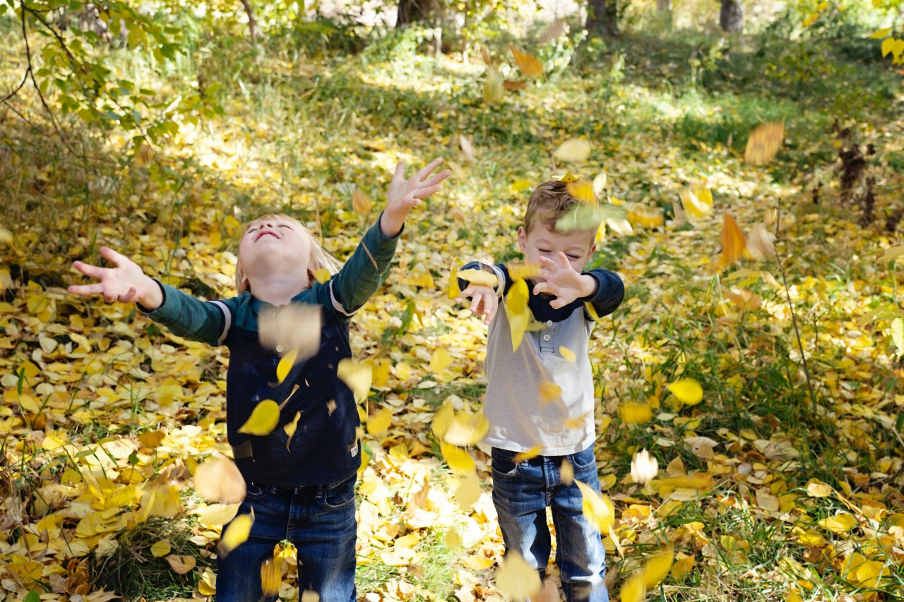 4 Birth Months Who Heal By Being In Nature