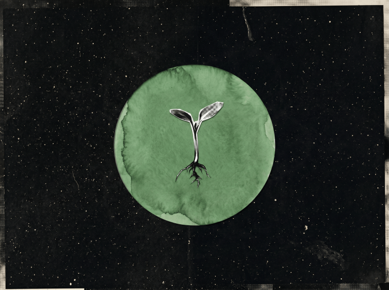 The First New Moon of a 19-Year Cycle Is Here. The Seeds You Plant This Month Will Define the Next Nineteen Years of Your Life.