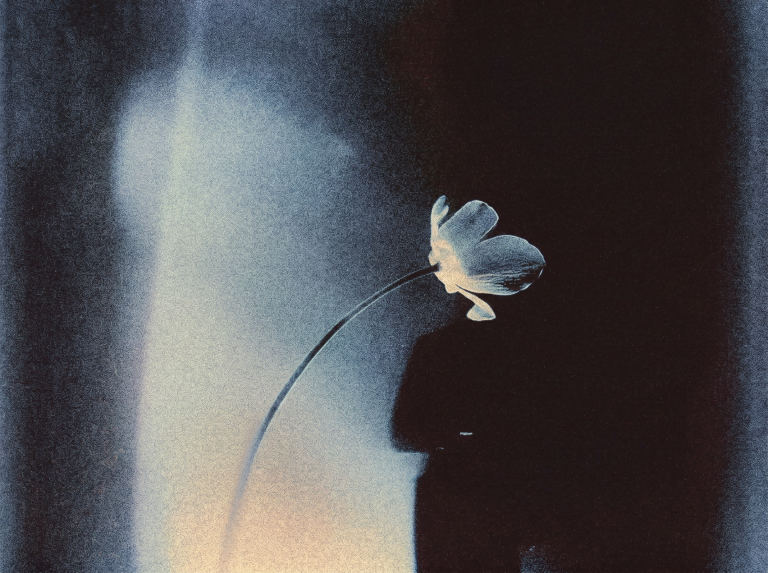 Venus in Cancer 2026: The Most Tender Love Transit of the Year