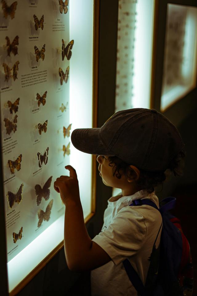 A child playing or doing a hobby at home
