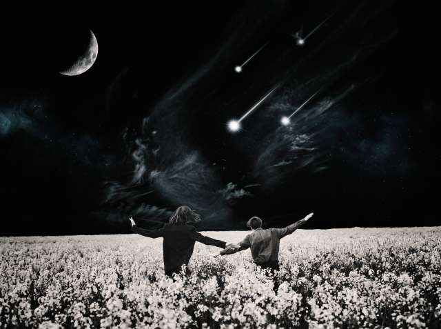Black and white digital art of two people holding hands in a flower field, arms spread wide, with a crescent moon and shooting stars in the dark sky.