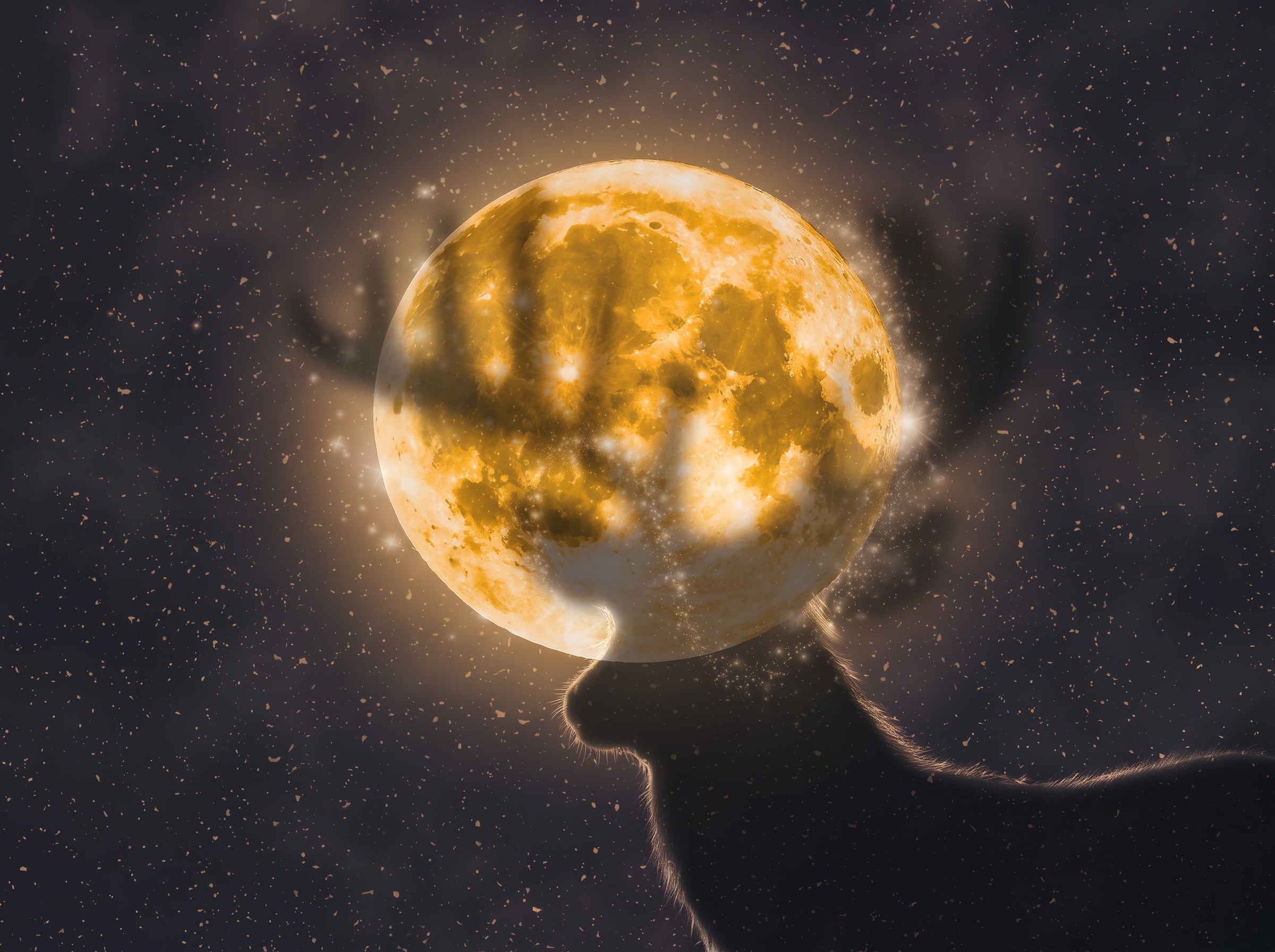 Silhouette of a deer with antlers against a large glowing golden full moon in a dark, starry night sky.