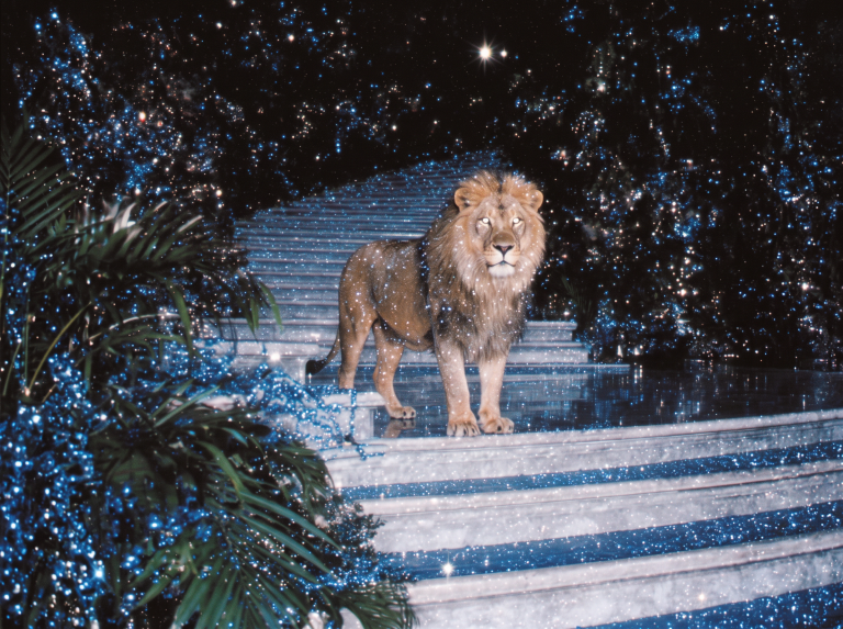 What the Lion’s Gate Portal Means for Your Zodiac Sign
