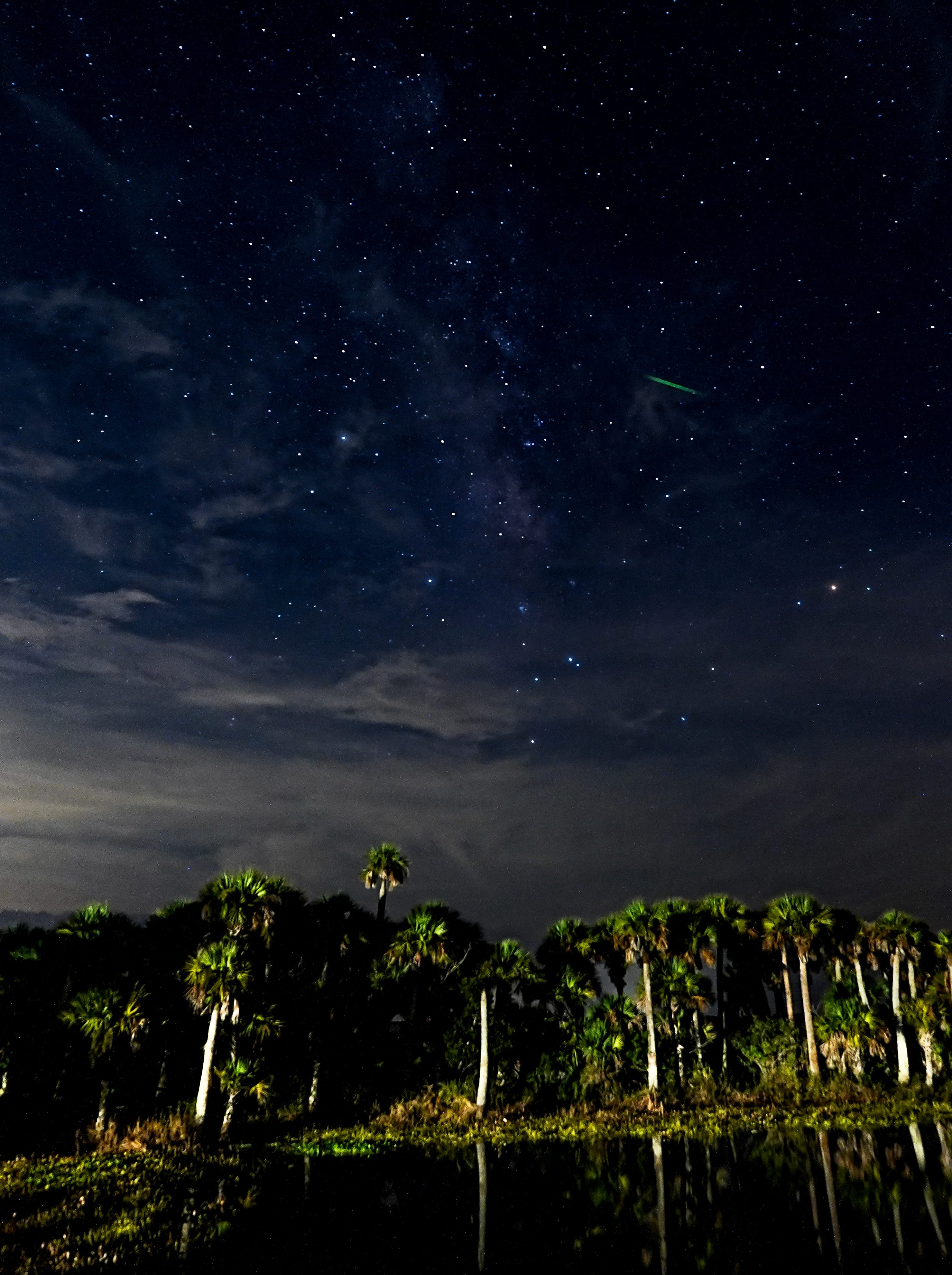 Night sky over palm trees at Fellsmere Grade Recreation Area showing the Milky Way, wispy clouds, and a green meteor streak.