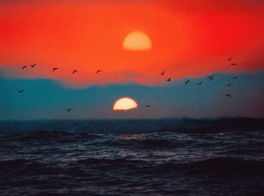 Dramatic red sunset over the ocean with silhouetted birds in flight and an atmospheric mirror effect creating the appearance of two suns.