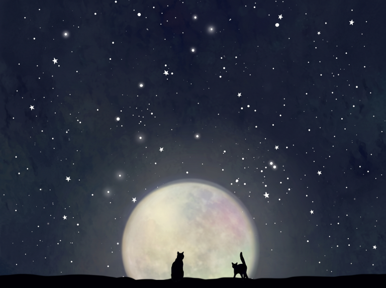 What to Release and What to Ask for Under the Harvest Moon, Based on Your Birth Month