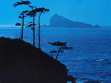 Blue-toned illustration of coastal trees, shimmering ocean water and a distant island.
