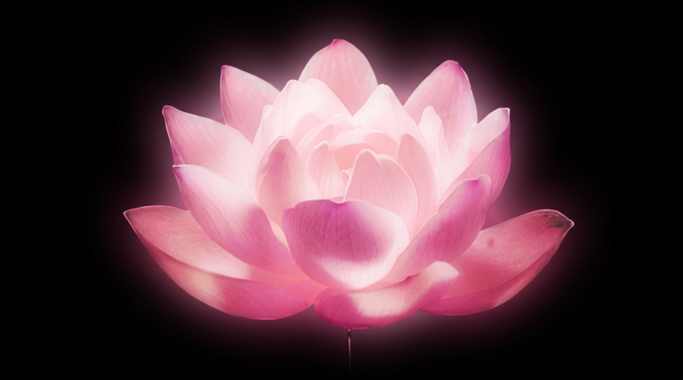 The Message Your Angels Want You to Hear, Based on Your Birth Month