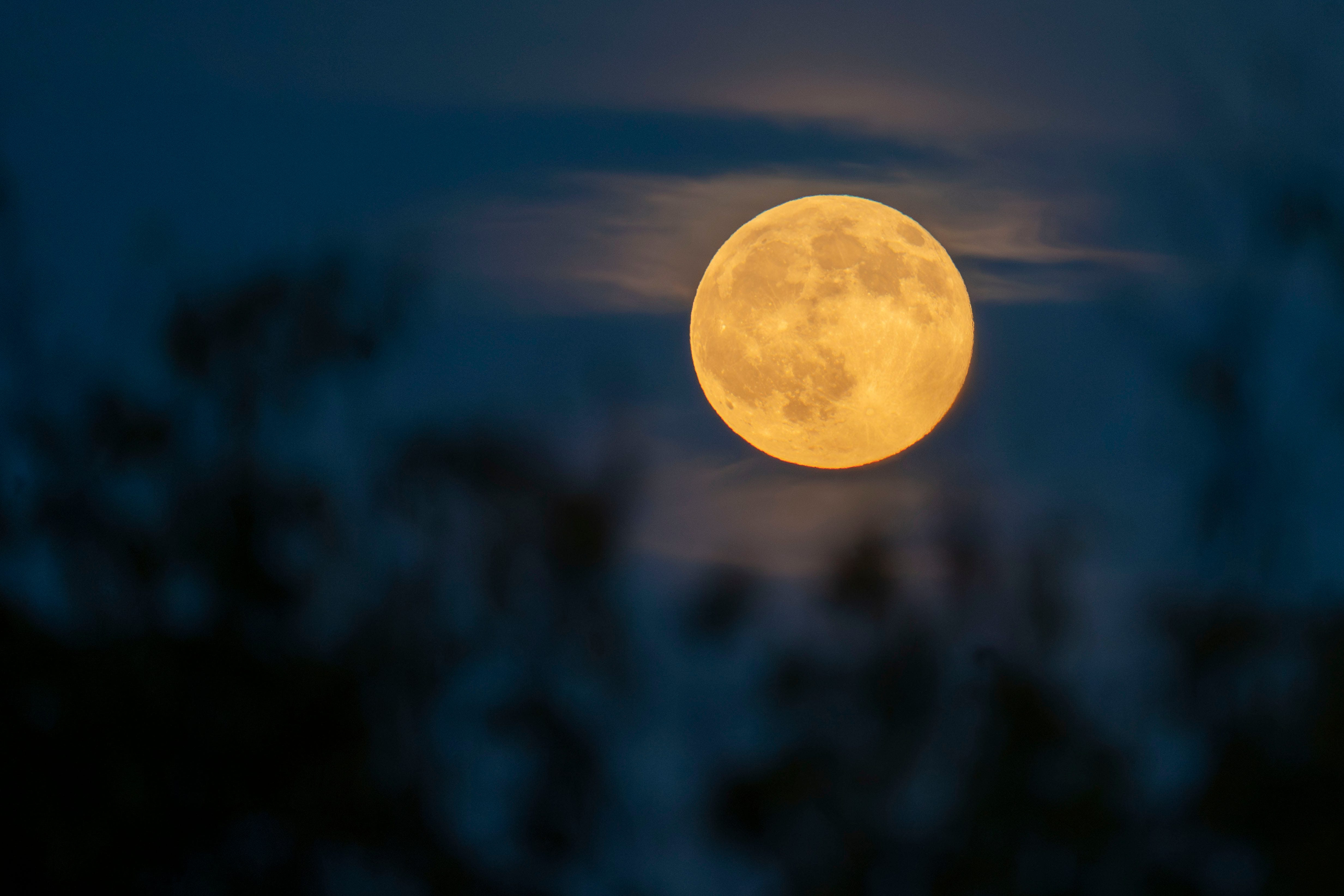 The Harvest Moon rising over Knoxville, Tennessee