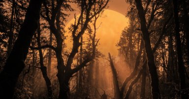 The Last Time Earth Absorbed This Much Carbon, the Shade Took 100,000 Years to Come Back