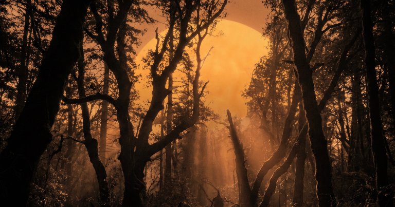 The Last Time Earth Absorbed This Much Carbon, the Shade Took 100,000 Years to Come Back