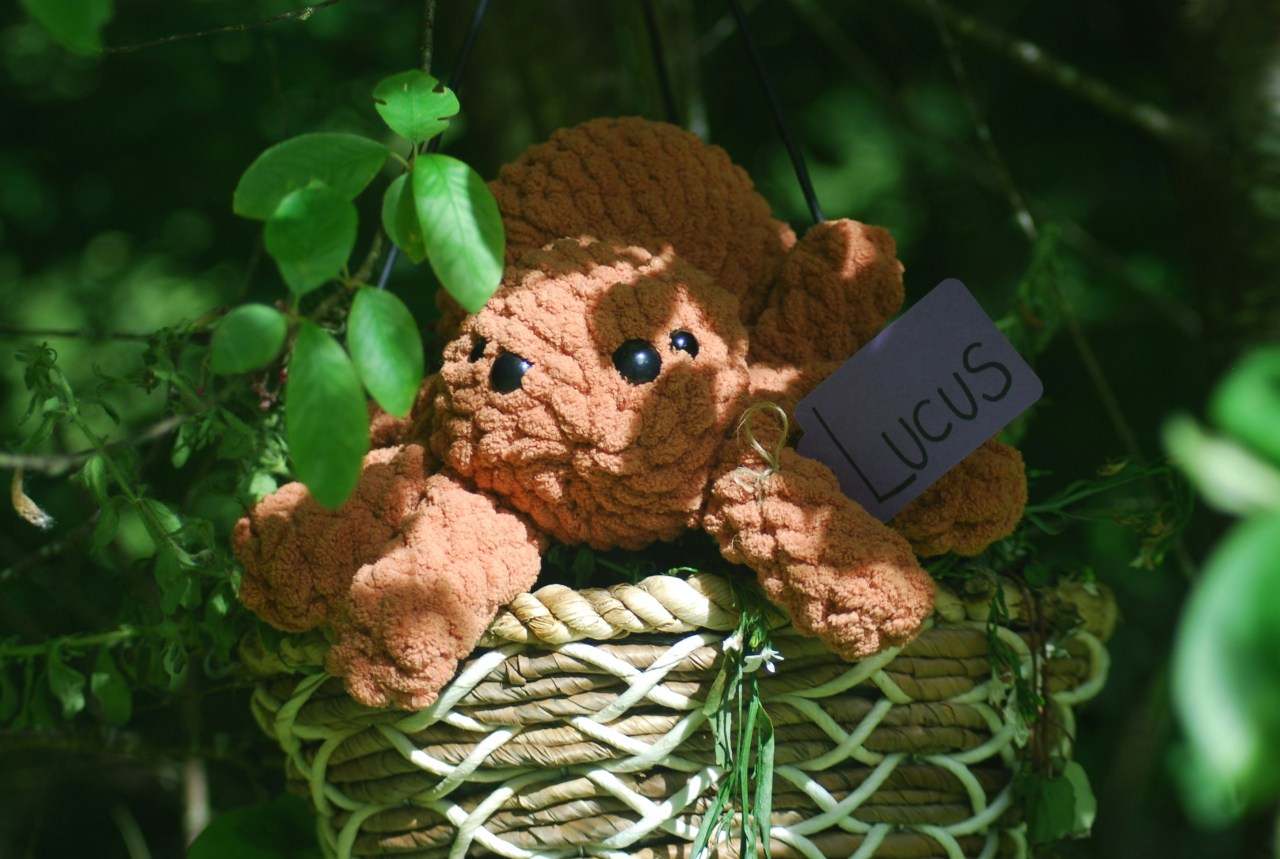 5 Birth Months Who Still Make Room For Their Childhood Stuffed Animal
