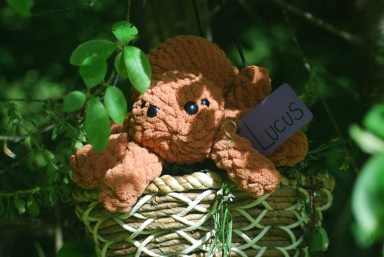 5 Birth Months Who Still Make Room For Their Childhood Stuffed Animal