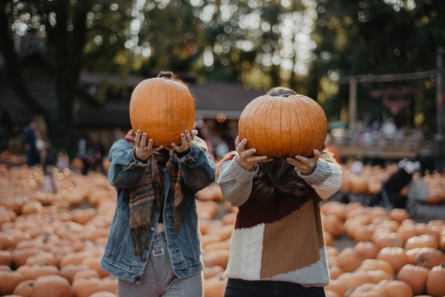 5 Kinds of People You’ll Find at Every Pumpkin Patch