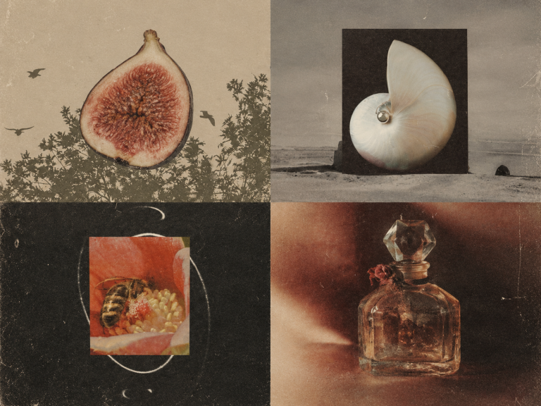 The Scent That Reminds Your Soul of Home, Based on Your Birth Month