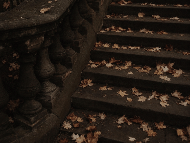 4 Birth Months Who Were Made for Old Libraries, Rainy Cities, and Autumn Evenings