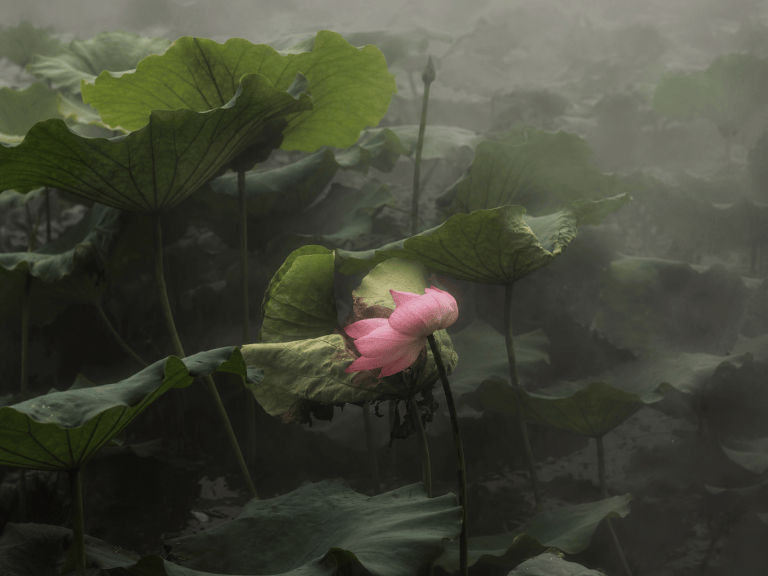 The Beautiful Thing Your Soul Learned From Being Hurt, Based on Your Birth Month