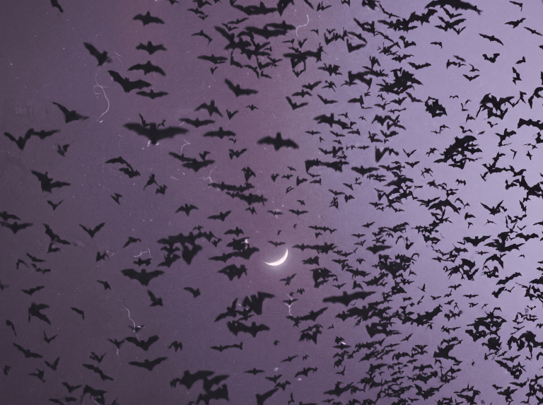 Why October Has Been Associated With Signs, Spirits, and the Unseen for Centuries