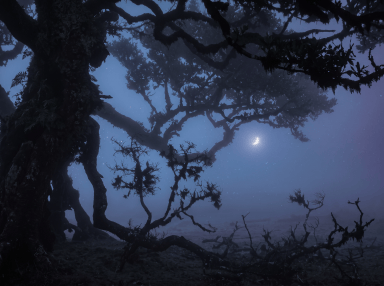 An Old Omen For Every Birth Month, And What To Make Of Yours