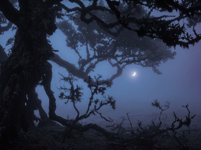 An Old Omen For Every Birth Month, And What To Make Of Yours