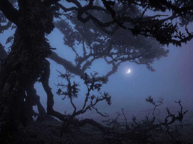 An Old Omen For Every Birth Month, And What To Make Of Yours