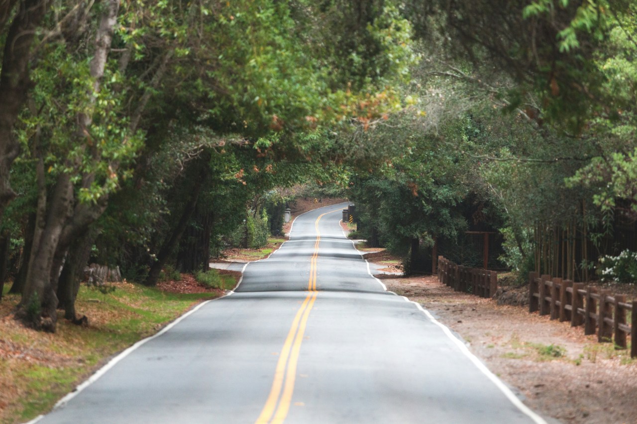 People Born In These 4 Months Use Long Drives As Their Therapy