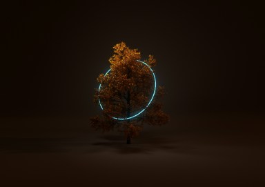 Soft, atmospheric photo suggesting the passage of time in autumn